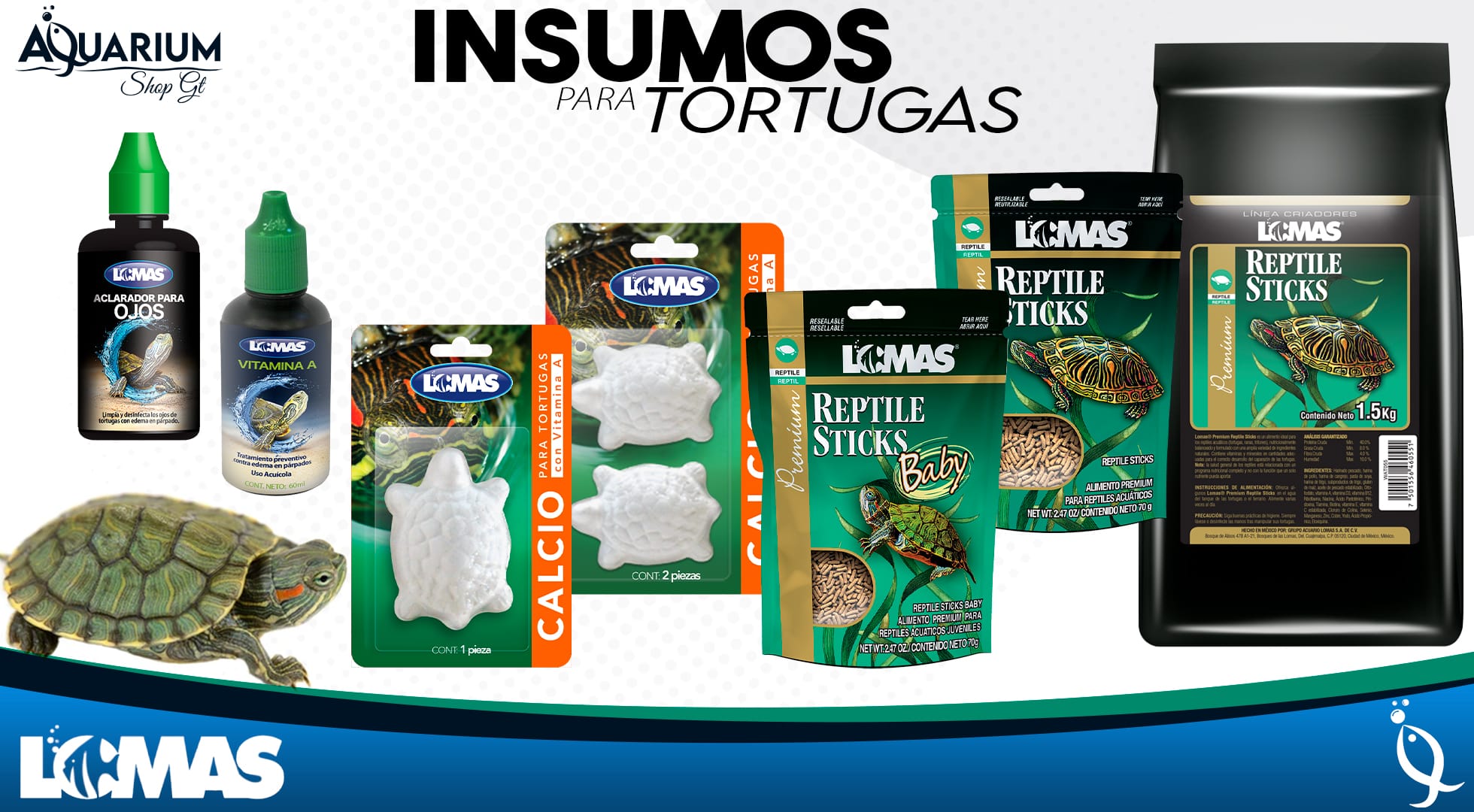 Tortugas