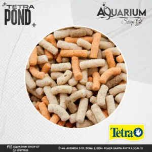 TetraPond