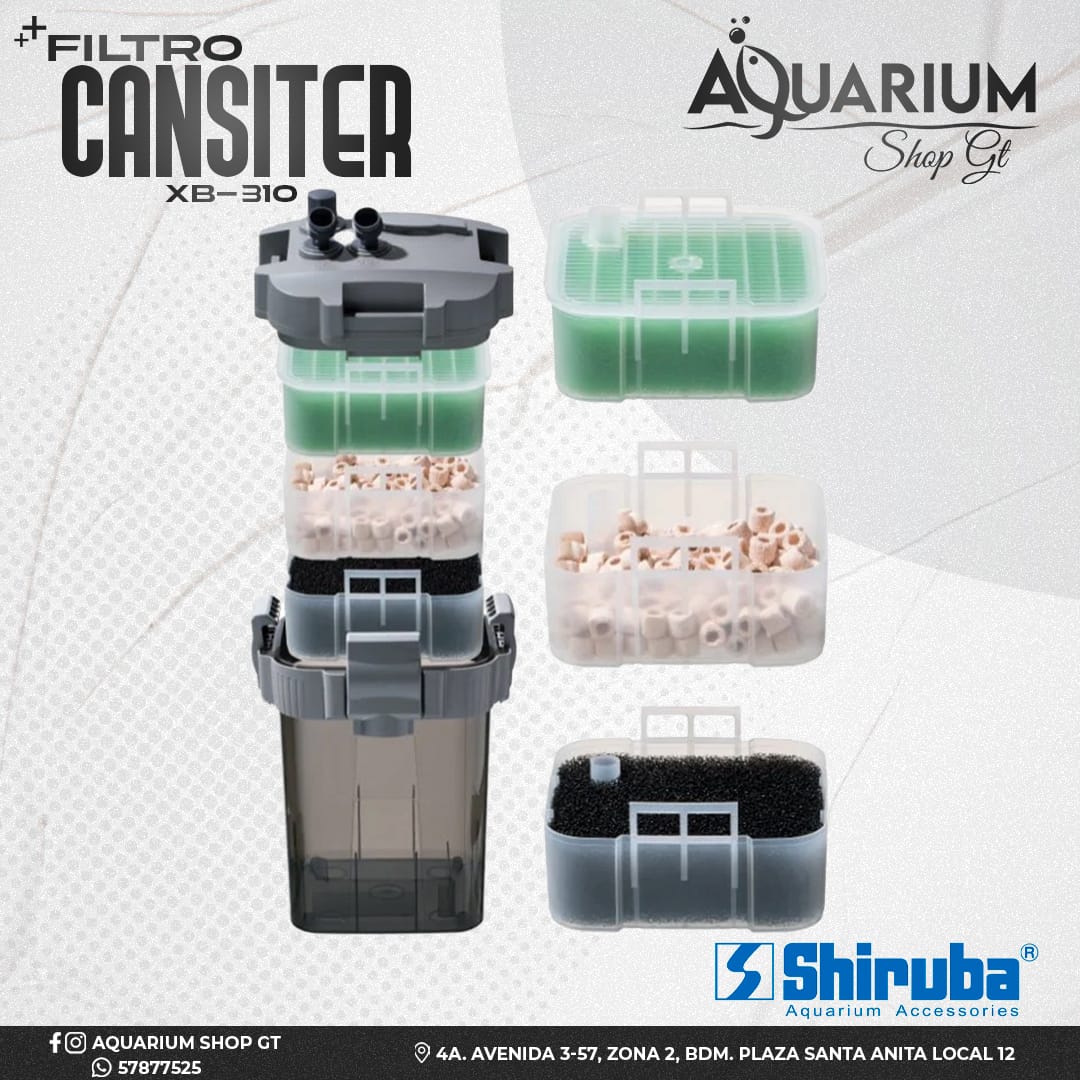 Filtro Canister XB-310 - Imagen 2