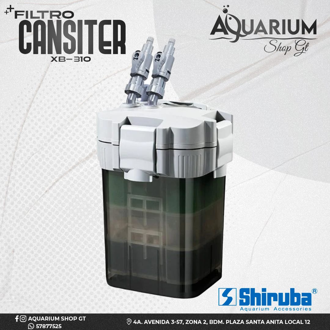 Filtro Canister XB-310