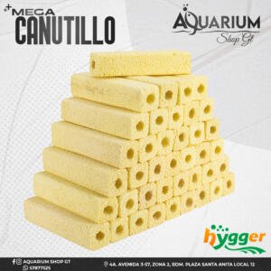 Mega Canutillo