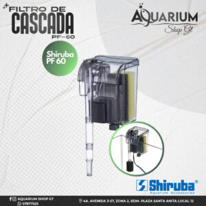 Cascada Shiruba PF-60
