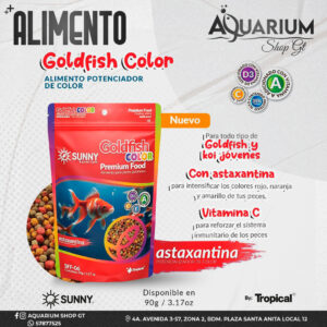 Sunny Goldfish Color