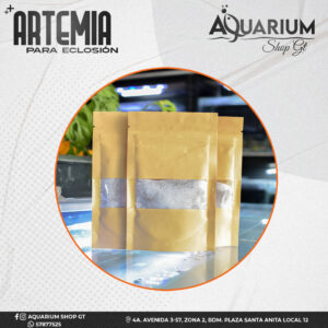 Artemia para Eclosión