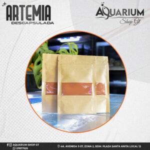 Artemia Descapsulada (Instantanea)