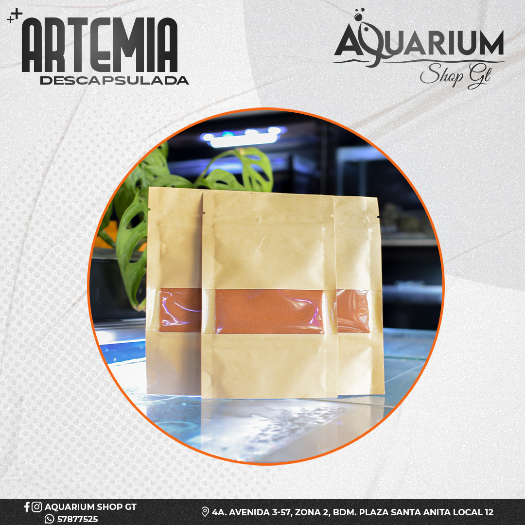 Artemia Descapsulada (Instantanea)