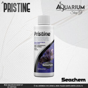 Pristine 100ml
