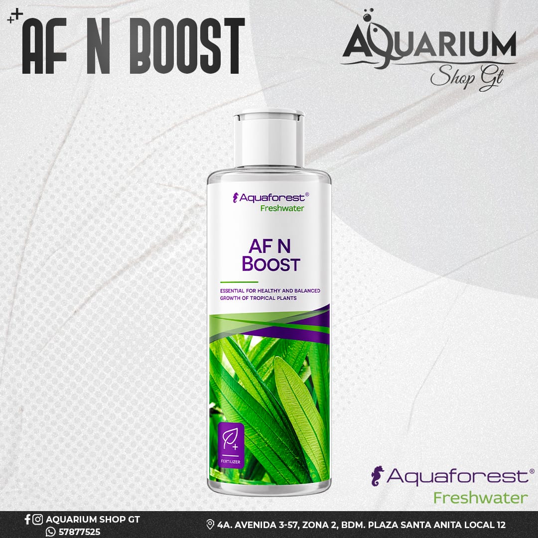 AF N Boost 125ml